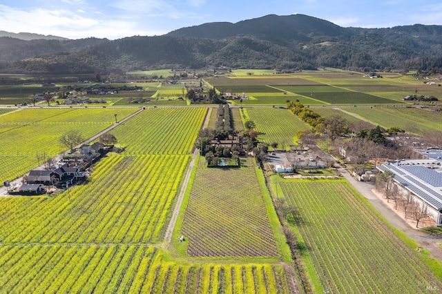 aerial view featuring a rural view and a mountain view