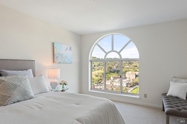 bedroom featuring carpet