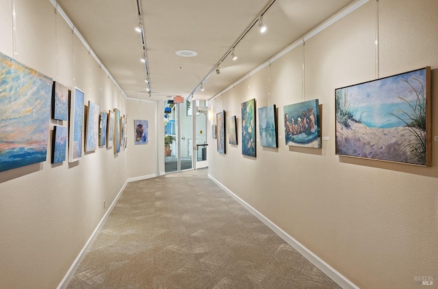 hallway featuring light carpet and rail lighting