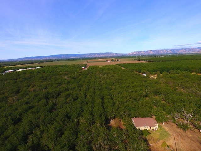 bird's eye view with a mountain view