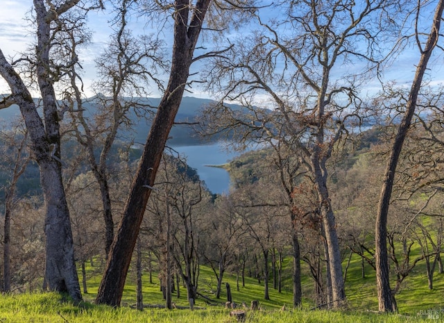 1123 Steele Canyon Rd, Napa CA, 94558 land for sale