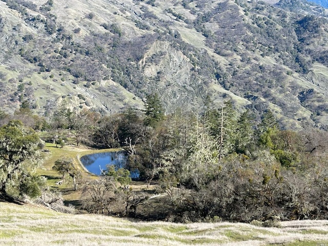 property view of mountains with a water view