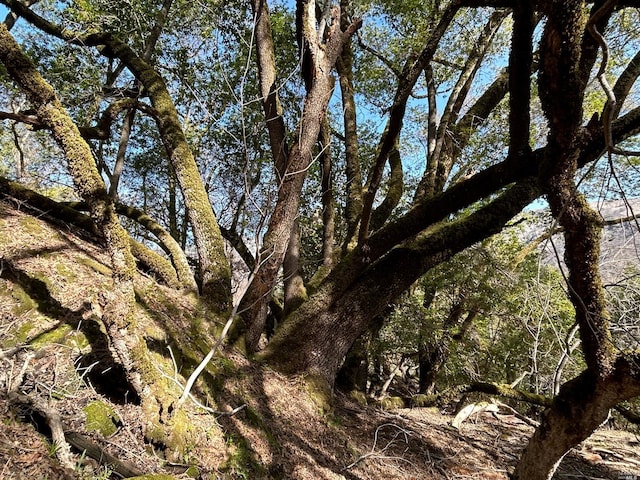 view of nature