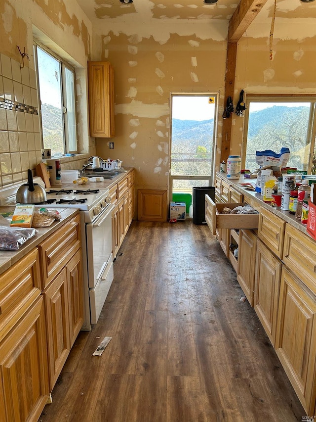 kitchen with a mountain view, stove, plenty of natural light, and dark wood-type flooring