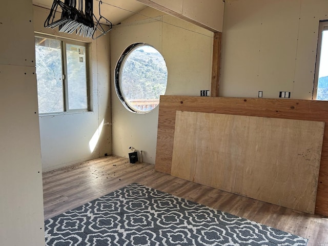 unfurnished room featuring lofted ceiling, a healthy amount of sunlight, and wood-type flooring