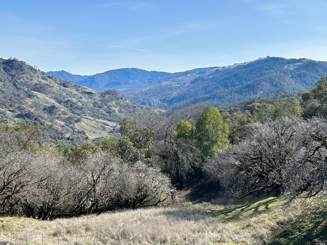 property view of mountains