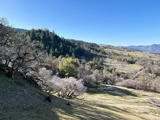 property view of mountains