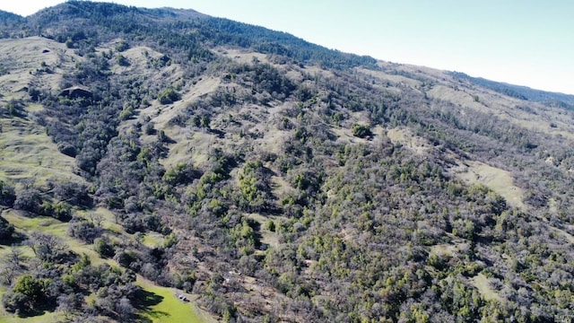 view of mountain feature