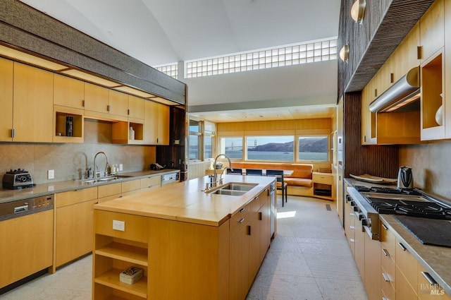 kitchen with a mountain view, backsplash, sink, and a kitchen island with sink