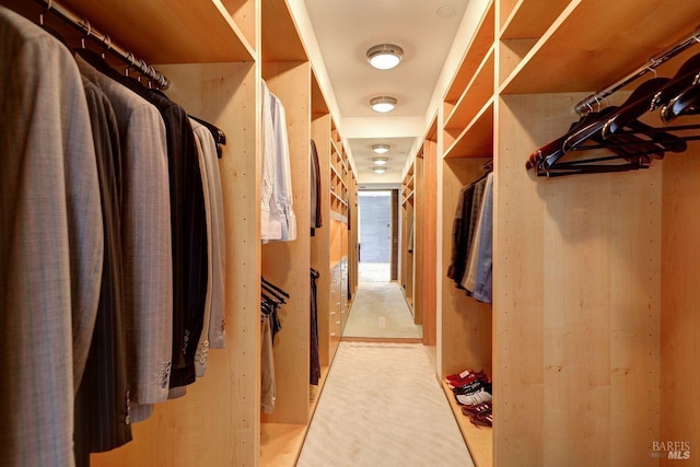 view of walk in closet