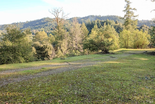 view of mountain view