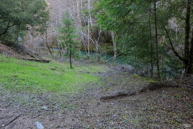 view of local wilderness featuring a water view