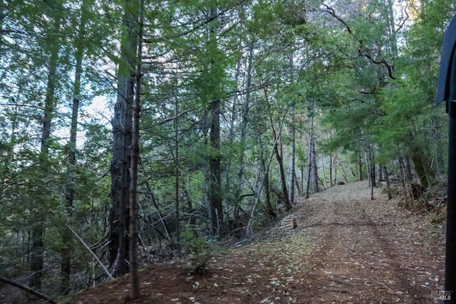 view of local wilderness