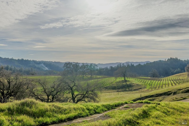 mountain view featuring a rural view