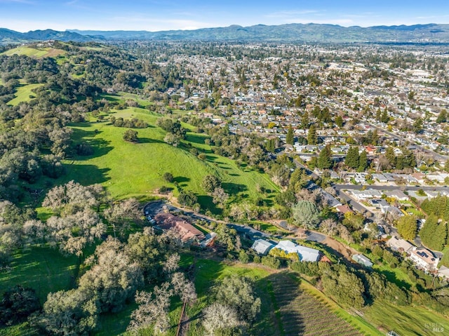 birds eye view of property with a mountain view