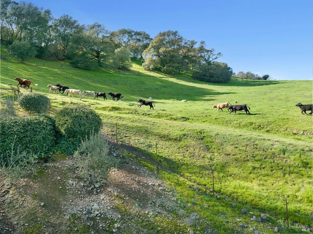 view of nature featuring a rural view