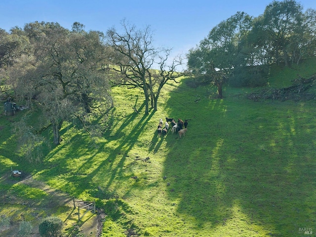 view of mother earth's splendor featuring a rural view