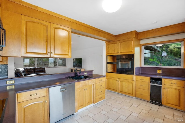 kitchen featuring plenty of natural light, stainless steel dishwasher, oven, and sink