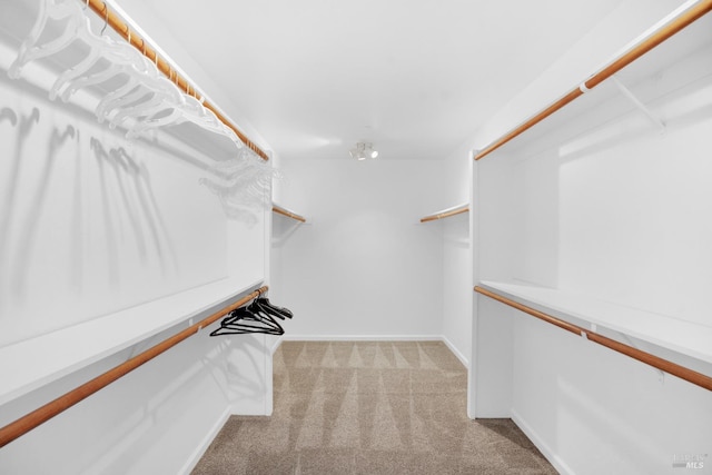 spacious closet featuring light colored carpet