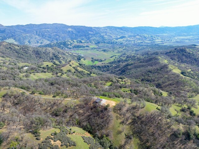 view of mountain view