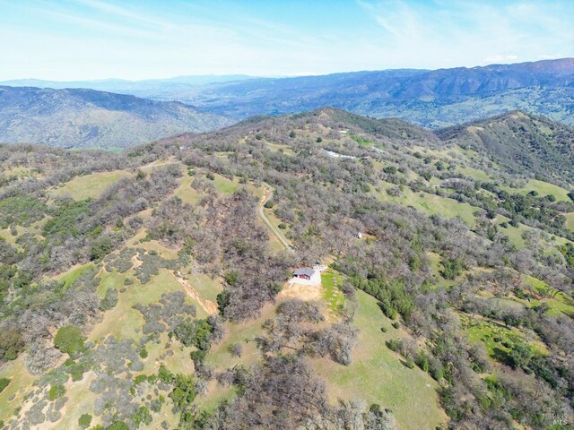 view of mountain feature