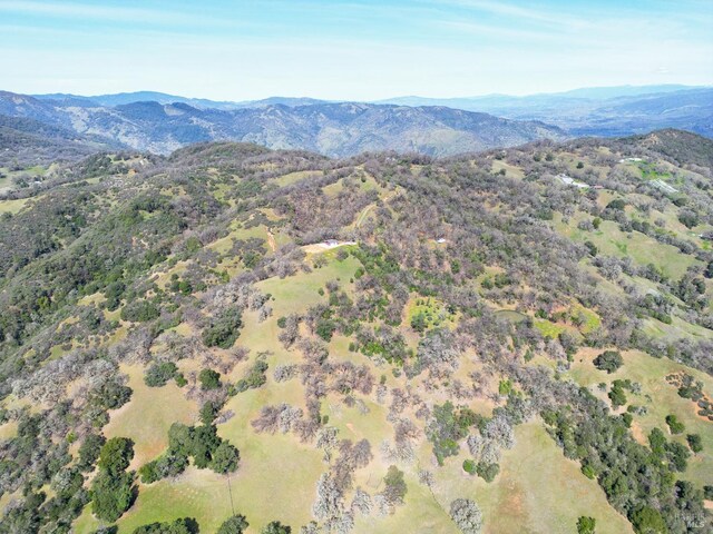 bird's eye view featuring a mountain view