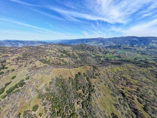 bird's eye view featuring a mountain view