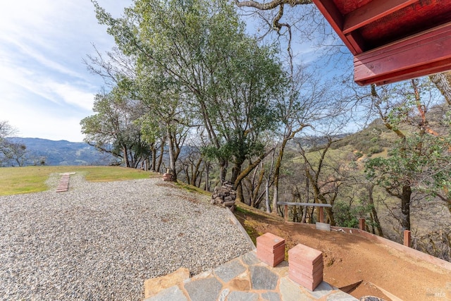 view of yard featuring a mountain view