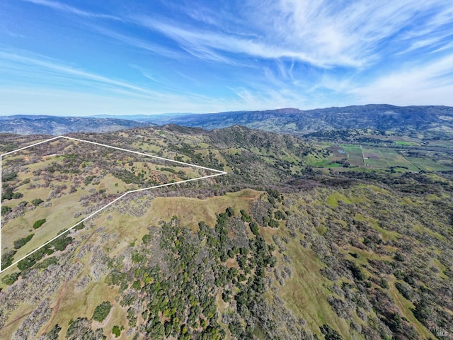 aerial view with a mountain view