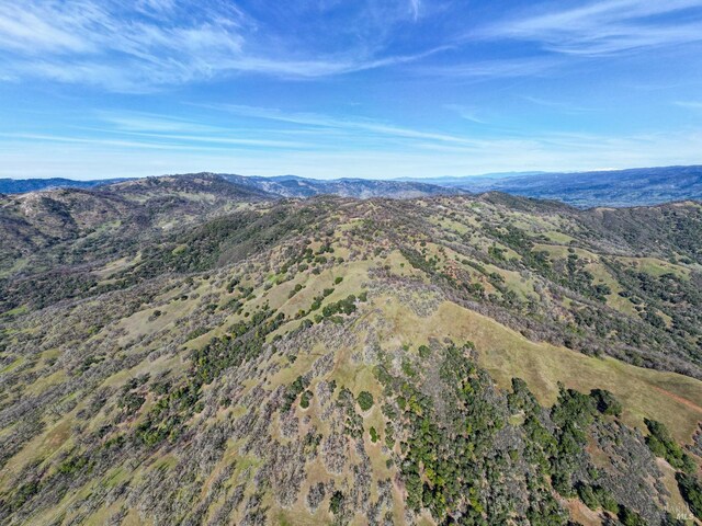 drone / aerial view with a mountain view