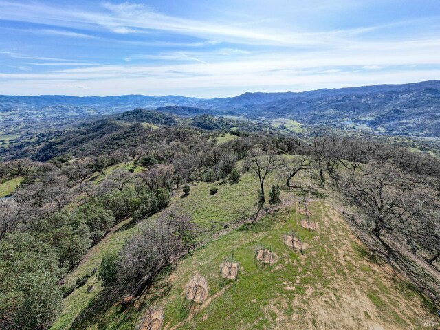 bird's eye view with a mountain view