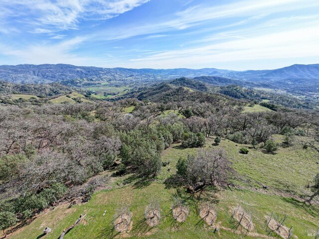 birds eye view of property with a mountain view