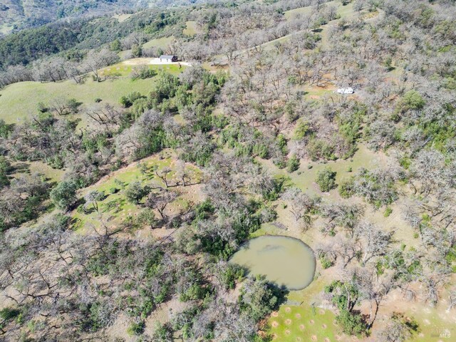 view of bird's eye view