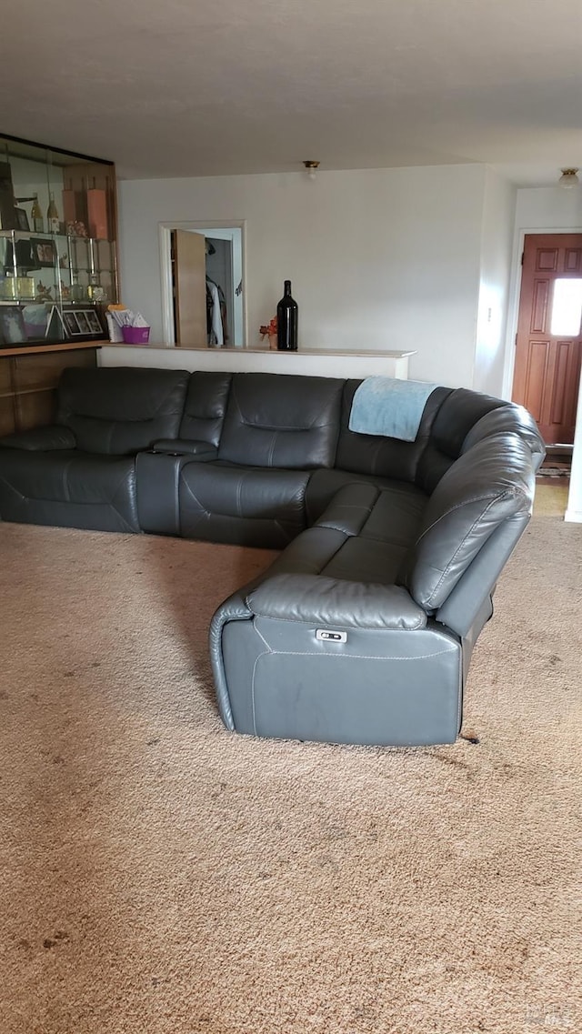 living room with carpet