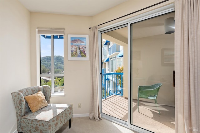 entryway featuring carpet and a wealth of natural light