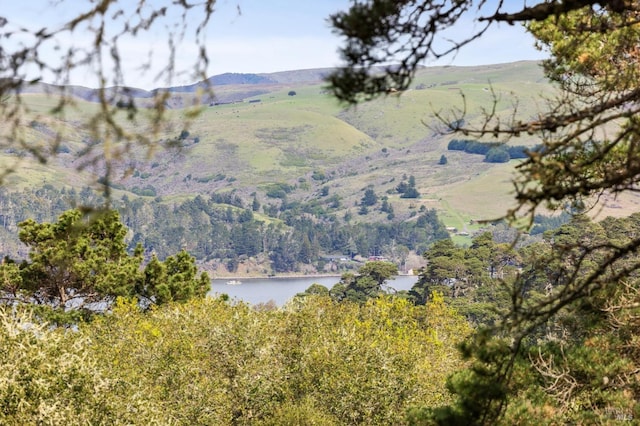 property view of mountains with a water view