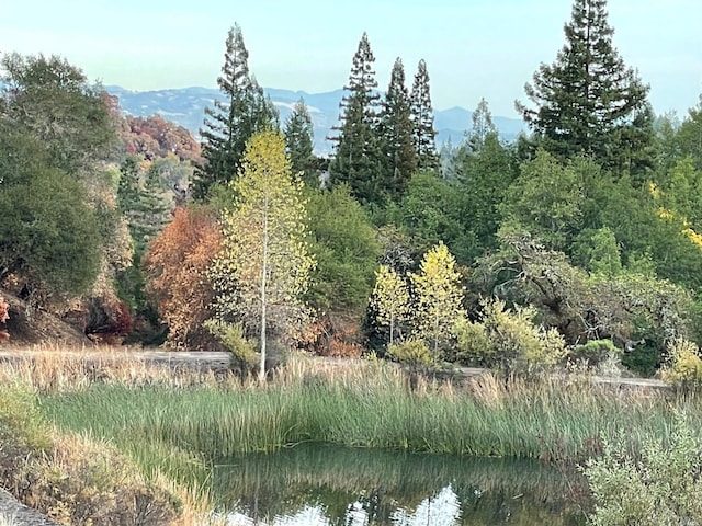 4100 Wallace Creek Rd, Healdsburg CA, 95448 land for sale