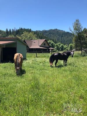 view of yard with a rural view