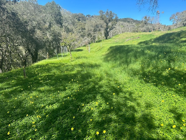 Listing photo 3 for 2101 Leslie Rd, Healdsburg CA 95448