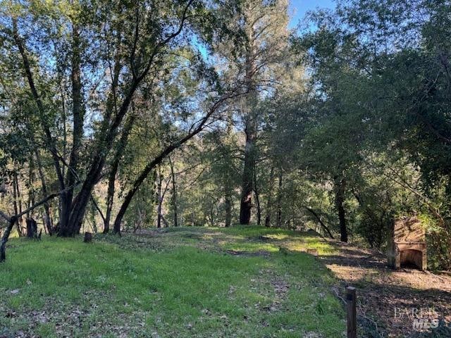 2491 Riverview Dr, Healdsburg CA, 95448 land for sale