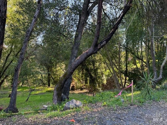 Listing photo 2 for 2491 Riverview Dr, Healdsburg CA 95448