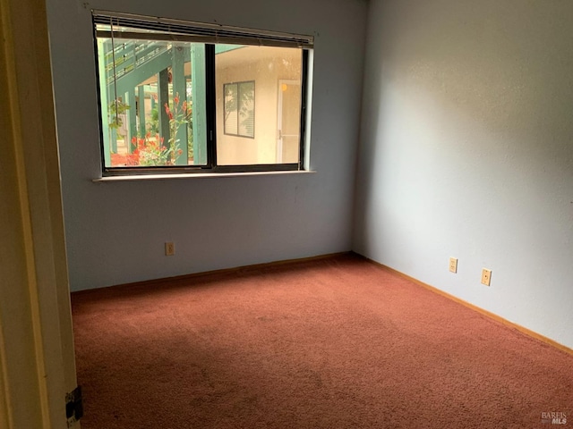 spare room with carpet flooring