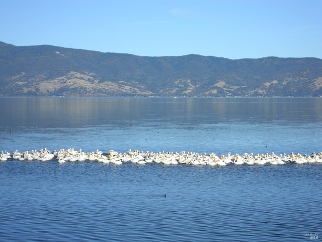 water view featuring a mountain view