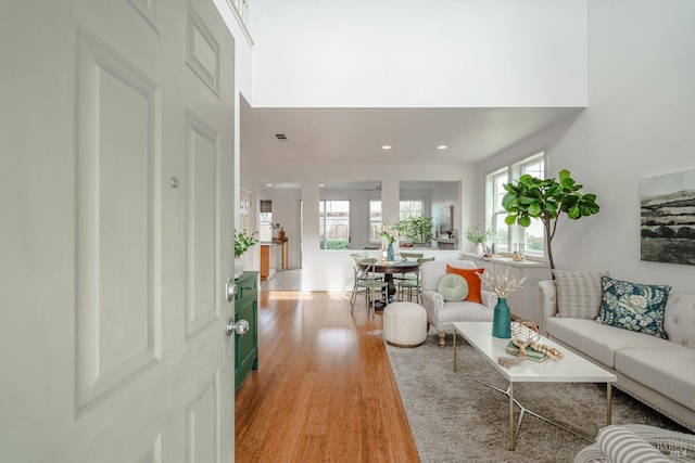 living room with light hardwood / wood-style flooring