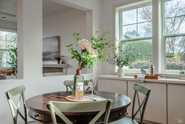 dining room with plenty of natural light