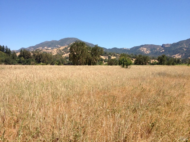 Listing photo 2 for 0 Tubbs Ln, Calistoga CA 94515