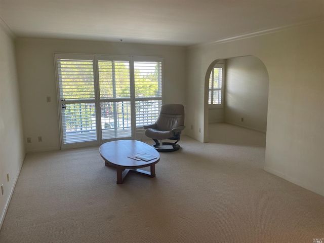 unfurnished room featuring a wealth of natural light, crown molding, and light carpet