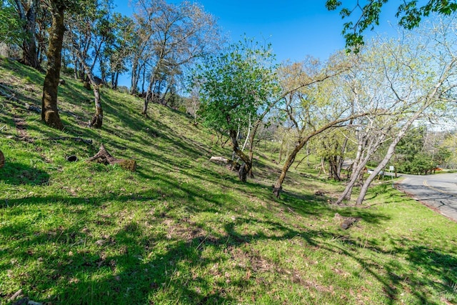 0 Country Club Ln Unit 270, Napa CA, 94558 land for sale