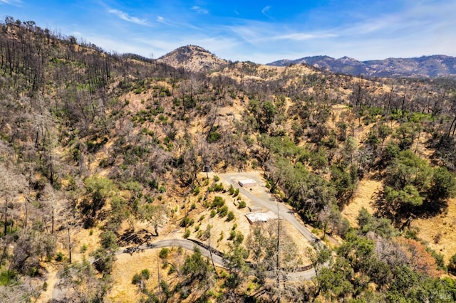 4502 Silverado Trl, Calistoga CA, 94515 land for sale