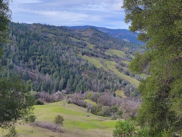 0 Covelo Rd, Willits CA, 95490 land for sale